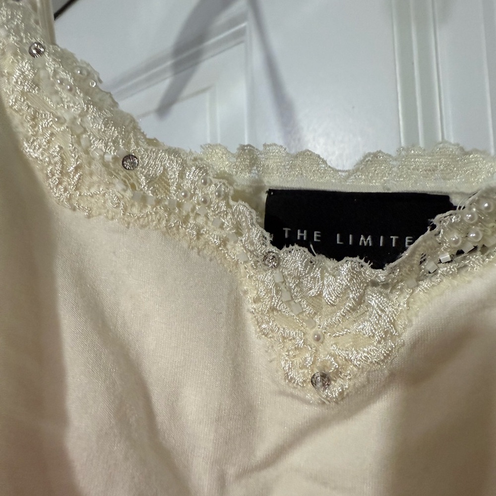 The Limited Ivory Lace Embellished Chemise
